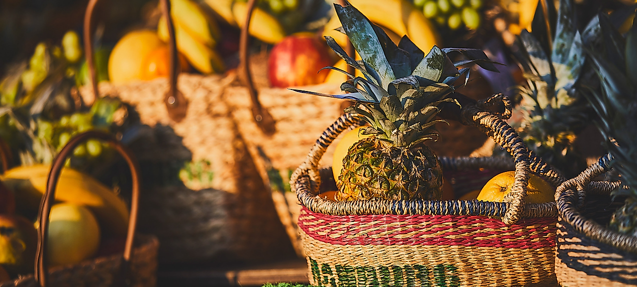 Farmer's markets