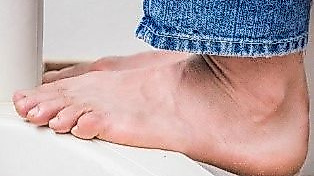 26-02-26 Happy Feet pixabay