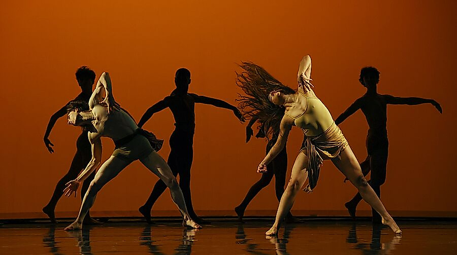 Werkstatt der Kreativität XVI
                                - Die Ballettschule des Hamburg Ballett