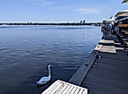 coco riviera-Blick ueber die Alster schweifen lassen