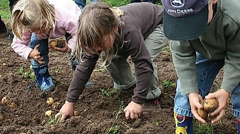 Dresch- und Kartoffelfest
