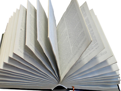 Gespräch zu biblischen Themen