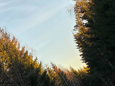 Letzter Sonntag nach Epihanias