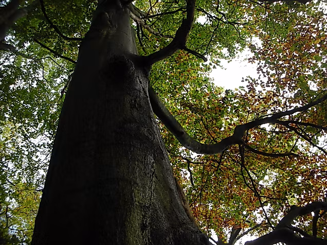 kloevensteen-heidi-mayerhoefer