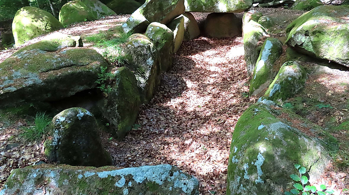 Großsteingrab der Trichterbecherkultur im Schieringer Forst