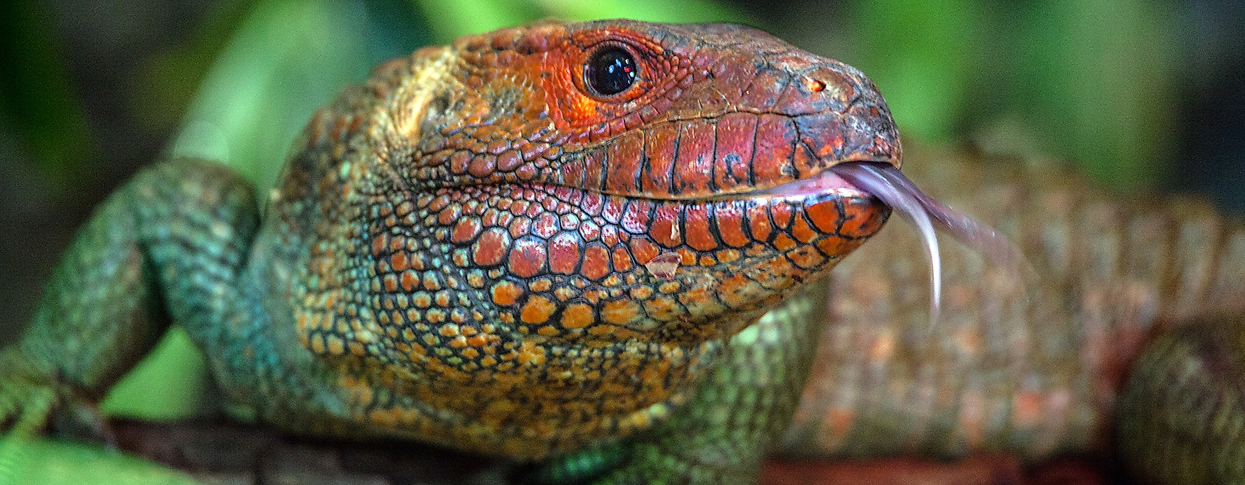 Tropical Aquarium Hagenbeck