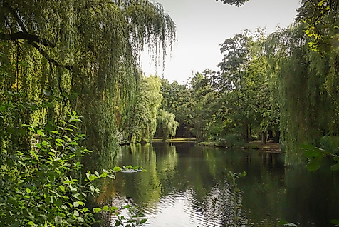 Eimsbütteler Park am Weiher