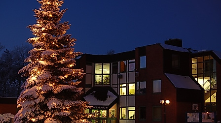 Weihnachtsbaum Rathausplatz