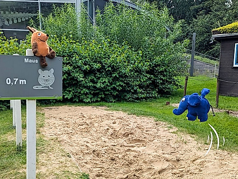 Türen auf mit der Maus