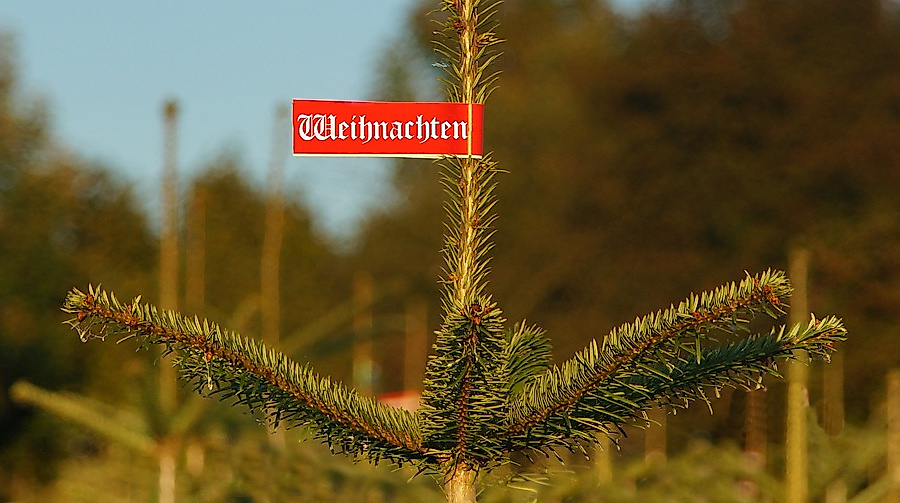 Tannenbaum-Verkauf der Freiwilligen Feuerwehr