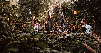 Ms Dockville Festival