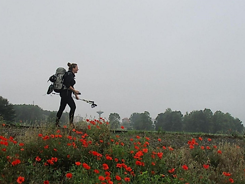 Unterwegs auf dem Jakobsweg