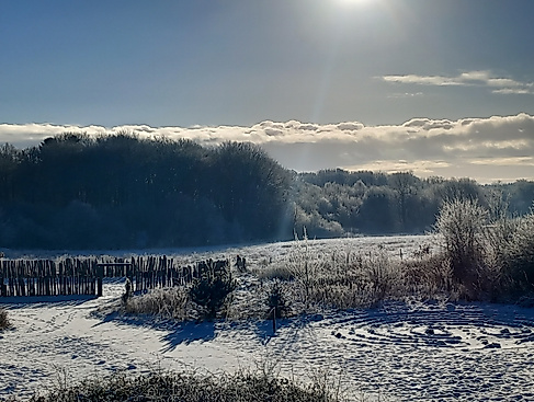 Führungen im Winter