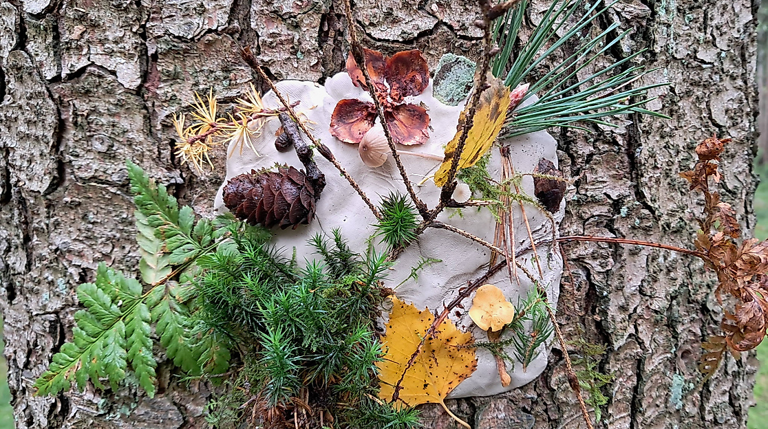 Herbstschätze