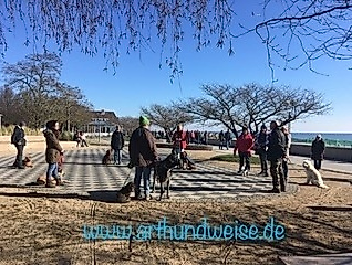 Hunde-Geo-Foto Caching