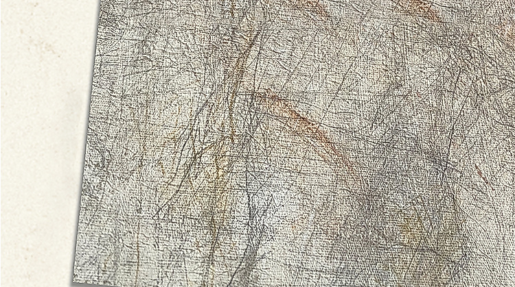 Gisela-Pluemicke