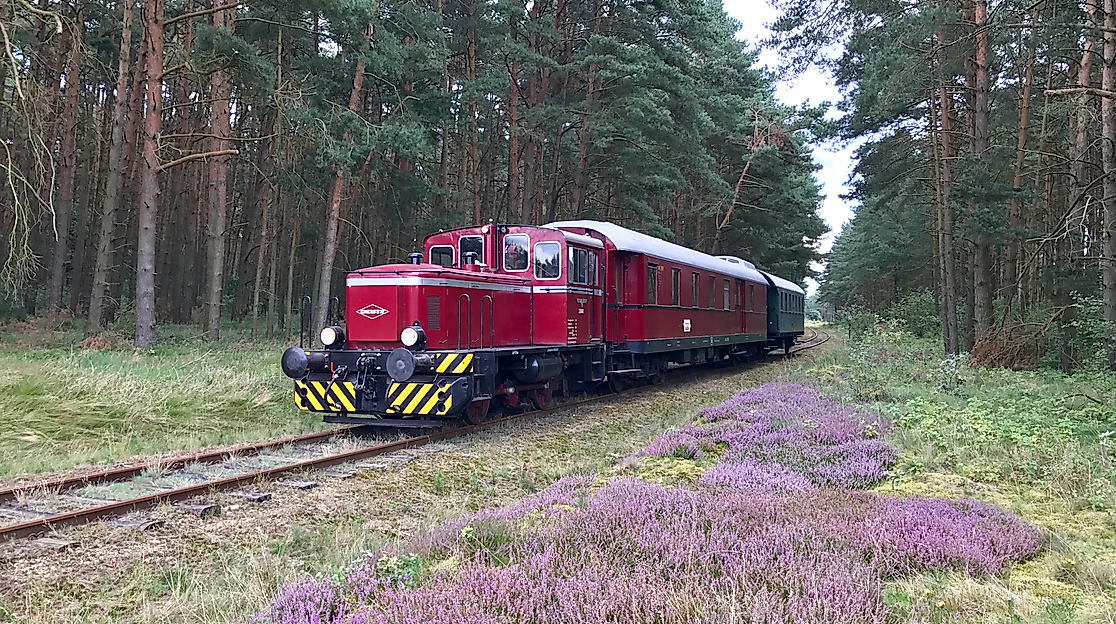 Mit der Bleckeder Kleinbahn an die Elbe