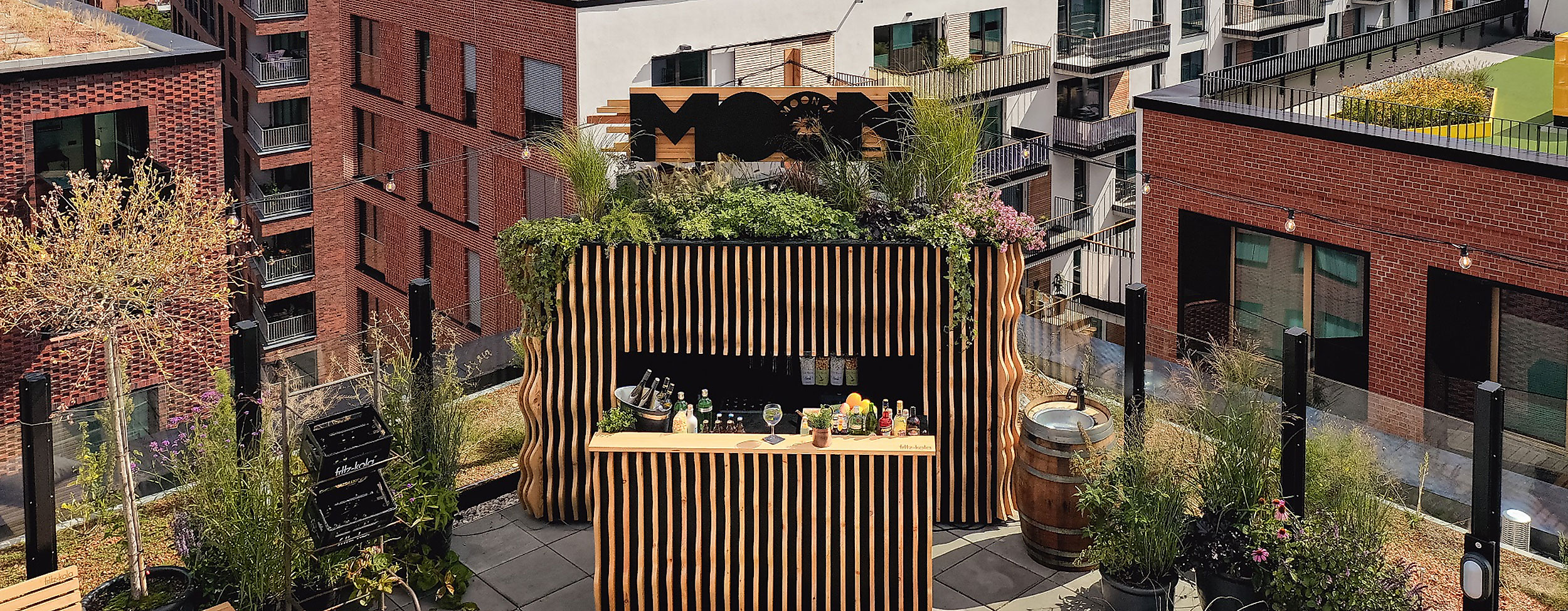 Moon46 bird's eye view