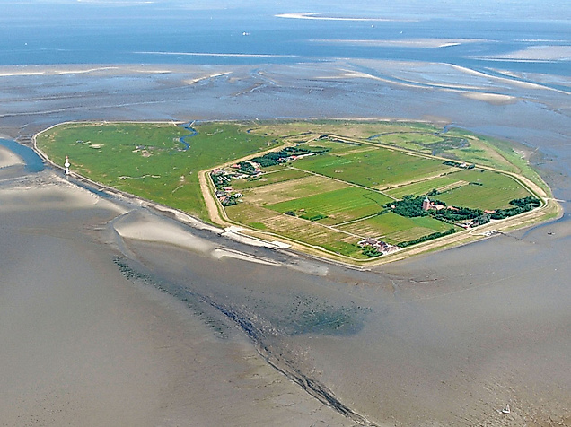 Luftaufnahme der Insel Neuwerk