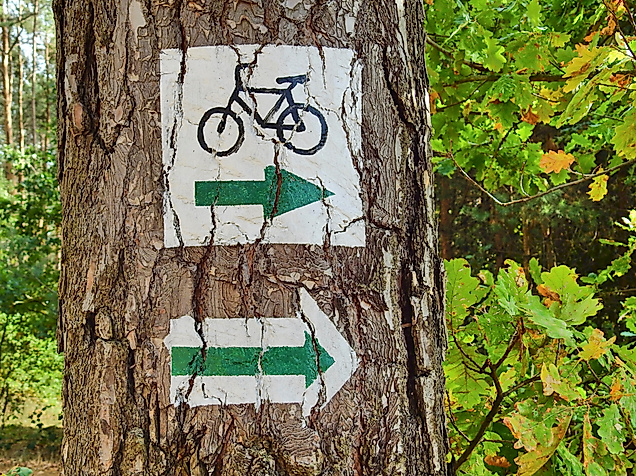 radweg_c-pixabay-erwin66as