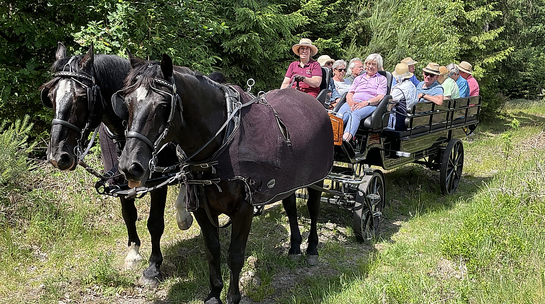 Luftgefederte Wagonette