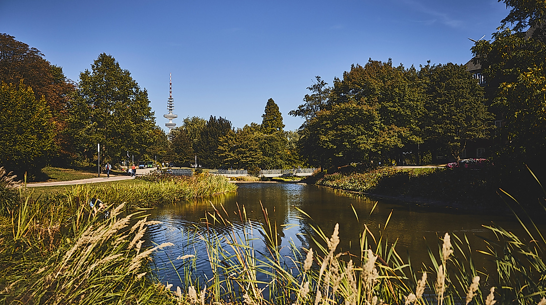 planten-un-blomen_c-2018-thisisjulia-photography-1