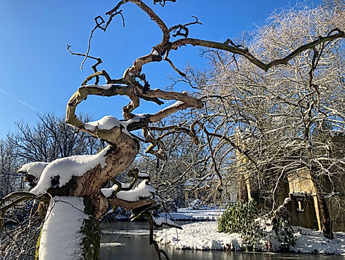 Führung Breidings Garten Soltau