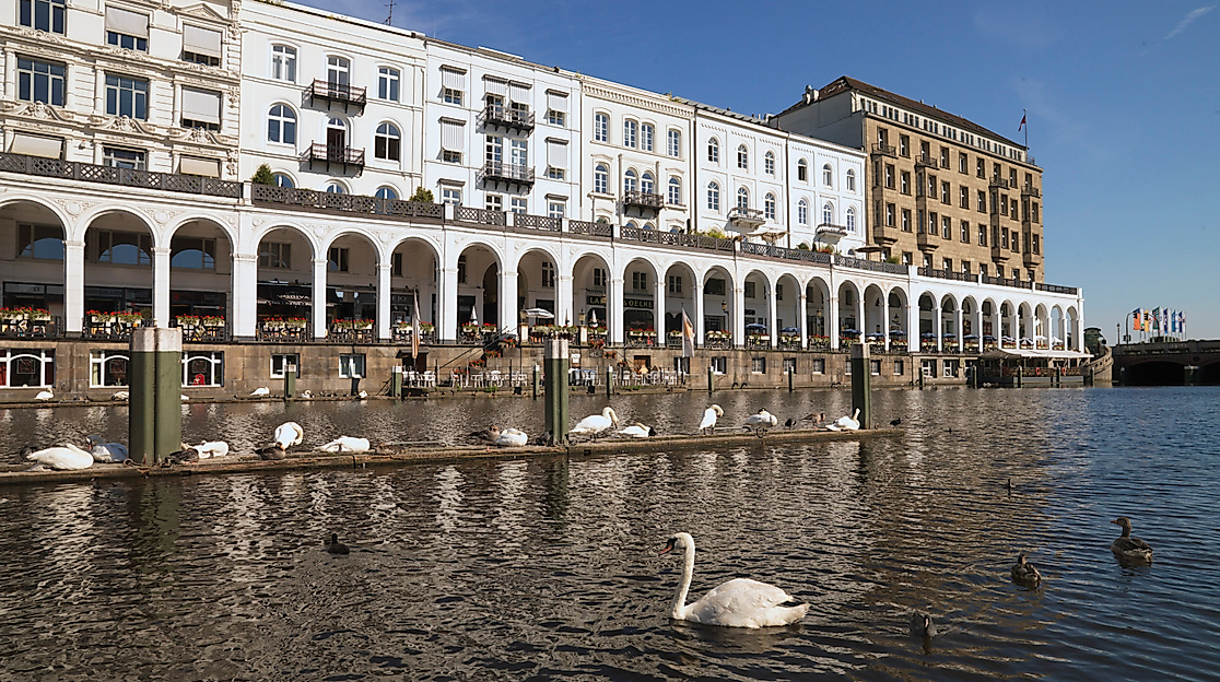 alsterarkaden_schwaene_c-christian-spahrbier