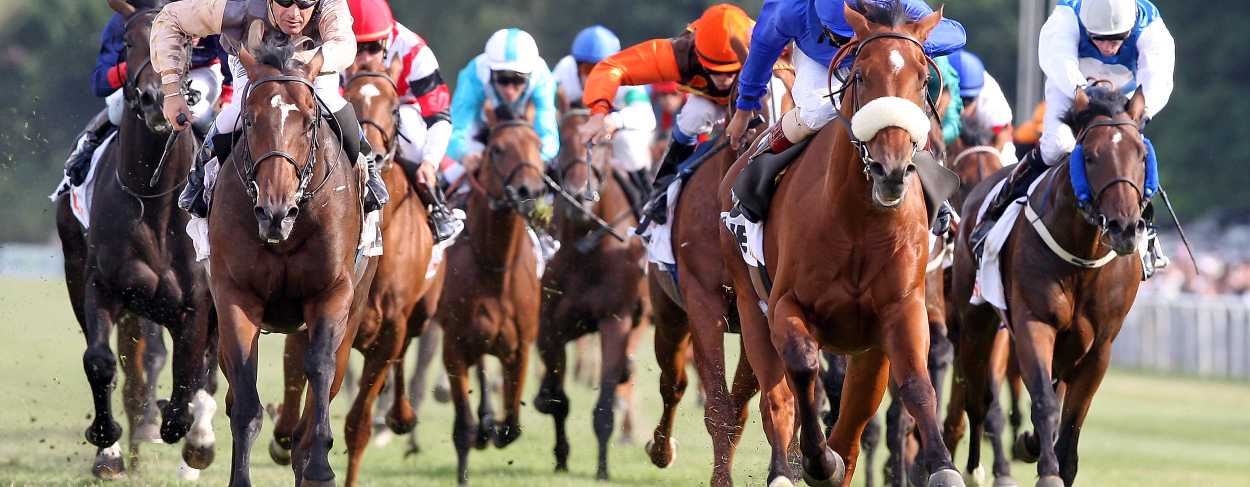 Derby Meeting Hamburg