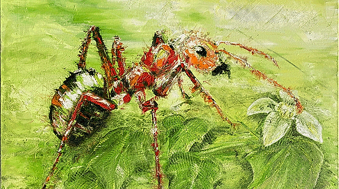 2025-Formica-rufa-Alexa-Binnewies_s-700x500