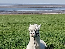 Hauptbild