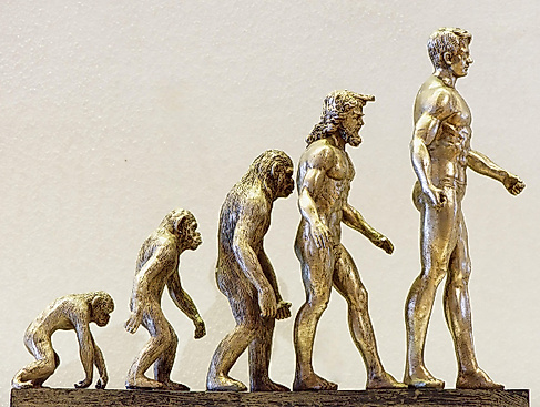 evolution-4107273_1280