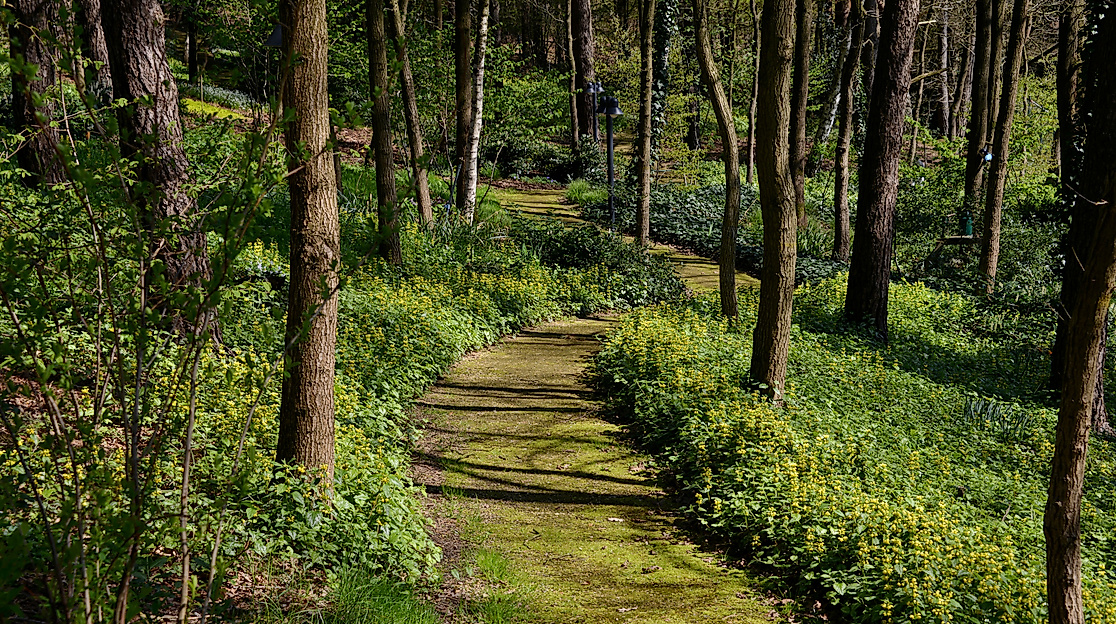 Gartenöffnung Landschaftsgarten