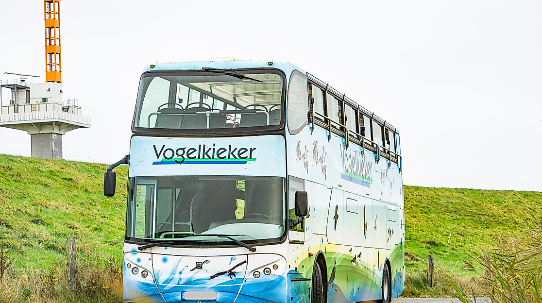 Vogelkieker November