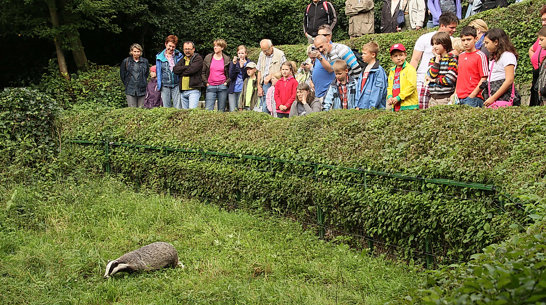 OTTER-ZENTRUM Hankensbüttel