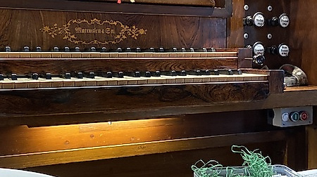 Vogelstimmen in der Orgel - Kinderkonzert