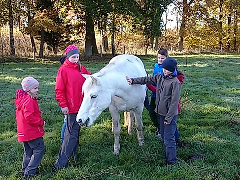 EXEO Ferienbetreuung "Abenteuer machen stark!"
