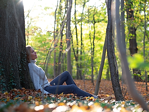 Waldbaden im Herbst in Hamburg und Schleswig-Holstein | waldimpuls-hamburg