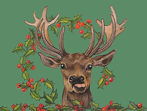 hirsch