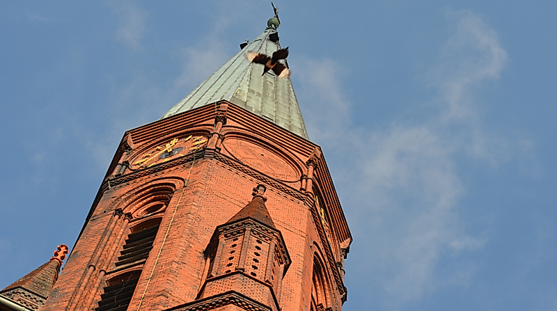 Friedenskirche Altona - Kirche für Stadtteil und Bildung