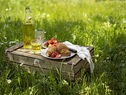 Frühstück & Waldglück