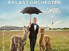 Max Raabe & Palast Orchester - Komm mal her