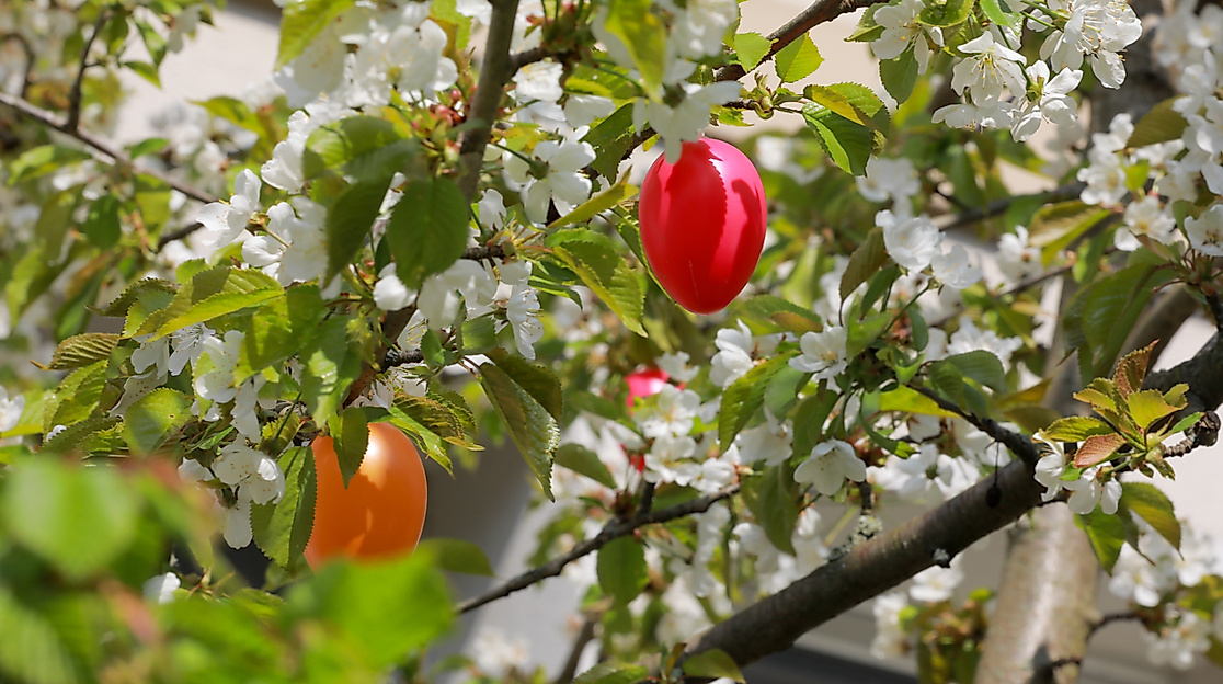 Gottesdienst am Ostersonntag