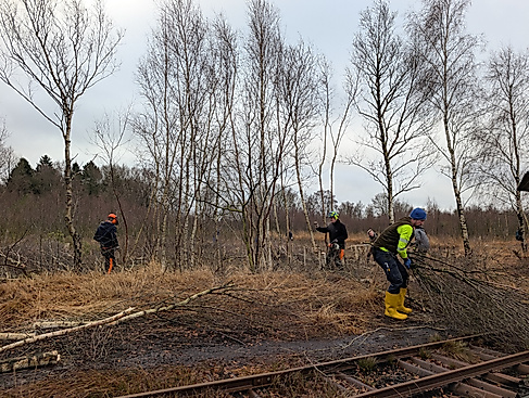 Typische arbeiten im Moor