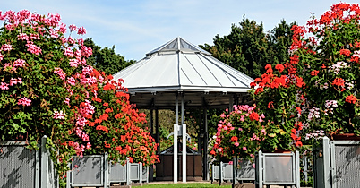 planten-un-blomen_rosengarten_c-berndt-andresen