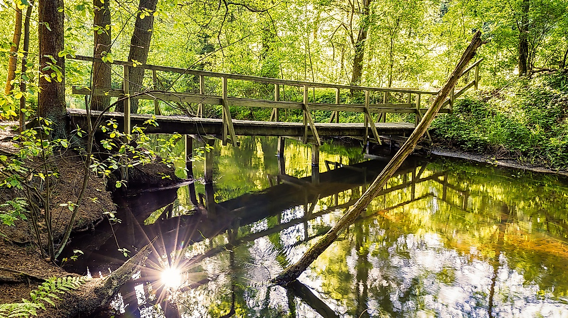 Brücke Fluss-Wald-Erlebnispfad