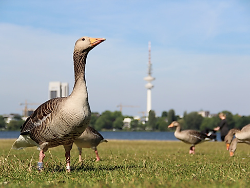 Vorträge (Standard)