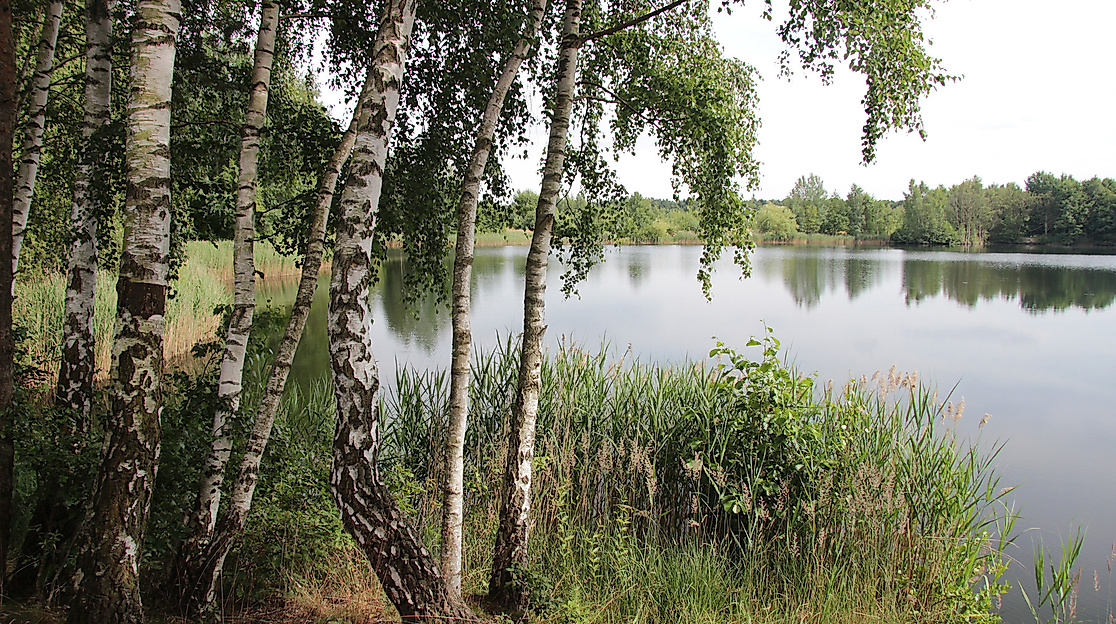 25-05-17_NABU-Pressemitteilung-Wanderung-Hermannsburg-Oldendorf