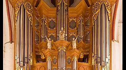 Arp-Schnitger-Orgel