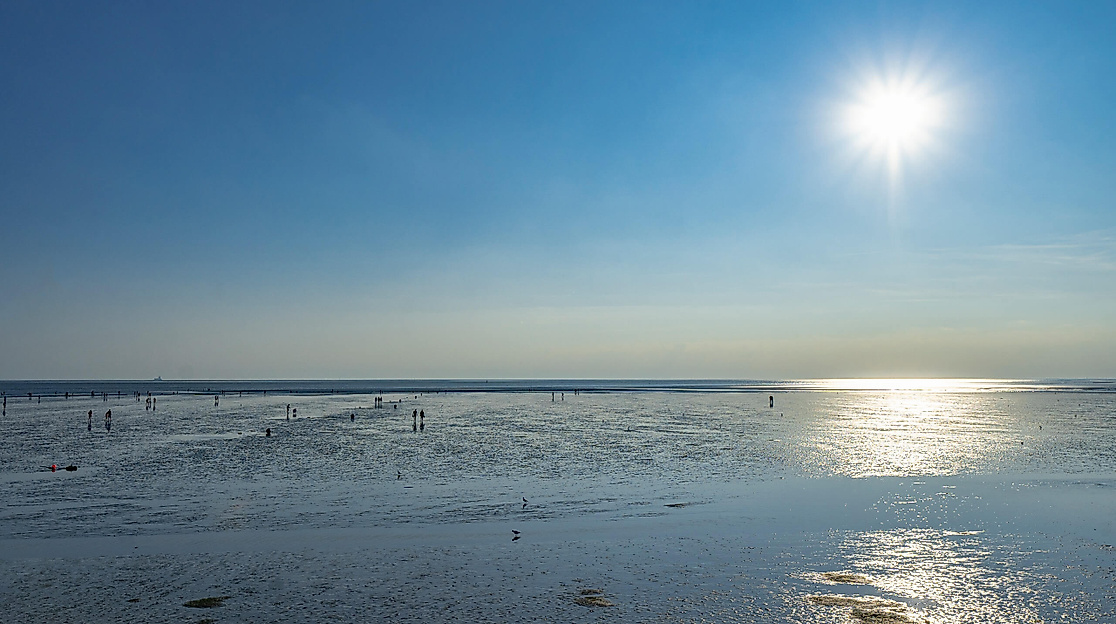 Watt für Einsteiger: Kurze Wattwanderung in Büsum